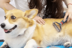 <b>为消费者创制了实实正在正在的价值</b>